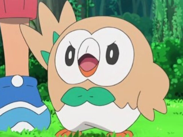 Rowlet! ZzZzZZZzZzz U_U