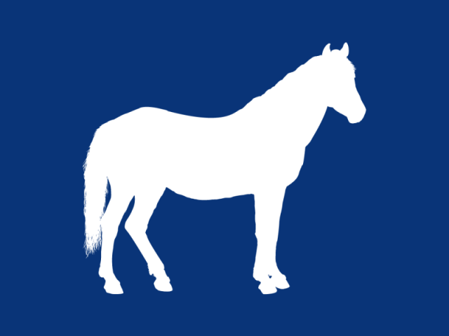 Cavalo