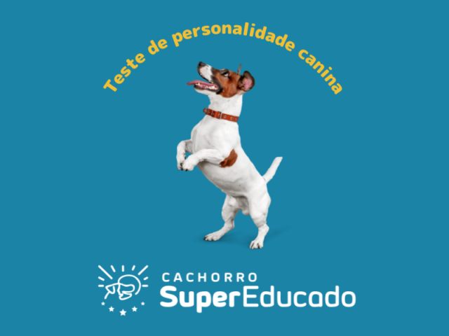 Teste de Perfil de Personalidade Canina - Cachorro Super Educado