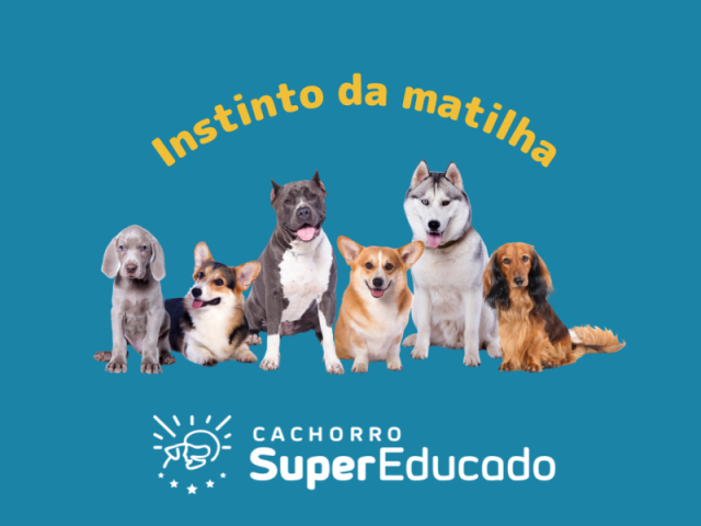 Instinto da Matilha