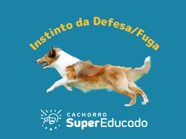 Instinto de Defesa / fuga