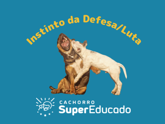 Instinto de Defesa / Luta