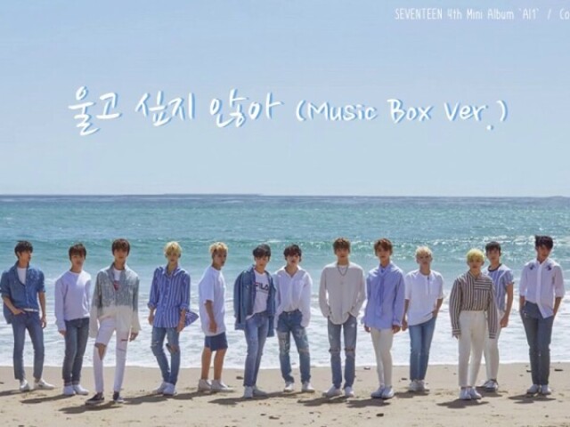Don't wanna cry》Seventeen