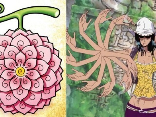 Hana Hana no Mi (Nico Robin)