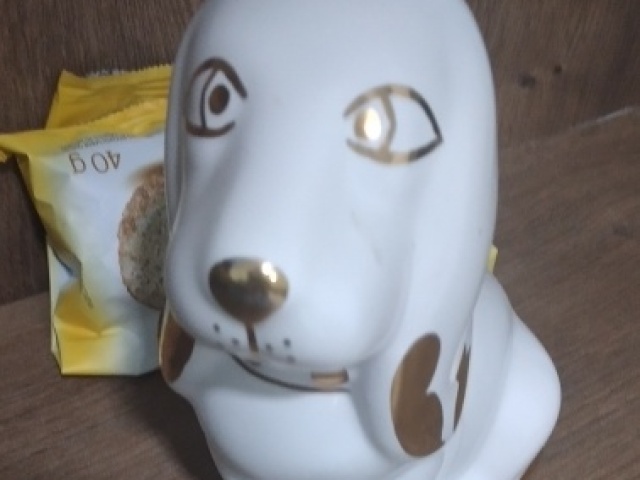 A outra cachorra da madu que ficou com medo de mim e o rage (o cachorro lobo q eu já tive)