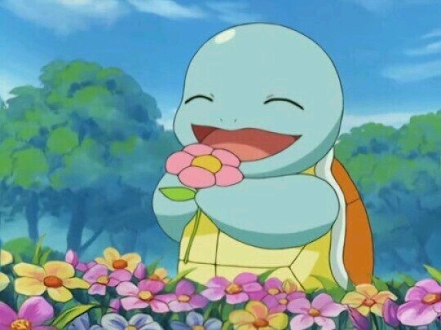 Squirtle