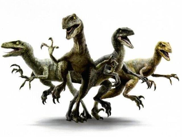 Você conhece os raptores de Jurassic Word?