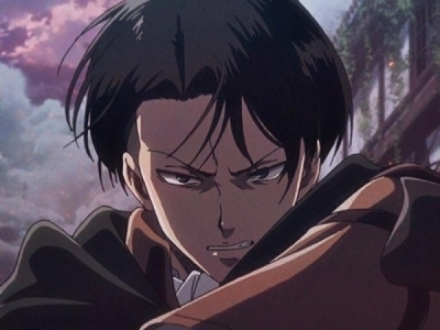 Levi