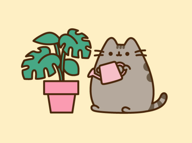 3. Pusheen Cat