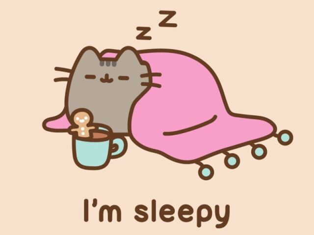 Pusheen Cat