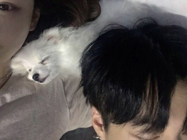 Você quis ir até a casa dele e lá conheceu sua cachorrinha Toya. Vocês conversaram a noite inteirinha até sentirem sono. Ele diz que te deixará com a cama e irá dormir no sofá, mas você se recusa a ficar, até fazerem um combinado. Irão dormir juntos, juntos da Toya.
Ele logo pega no sono junto da cachorrinha e você decide tirar uma foto de seu rosto. Ele acorda e diz ''ei!'', dando risada, até tirar o celular de suas mãos e te dar um beijo longo.