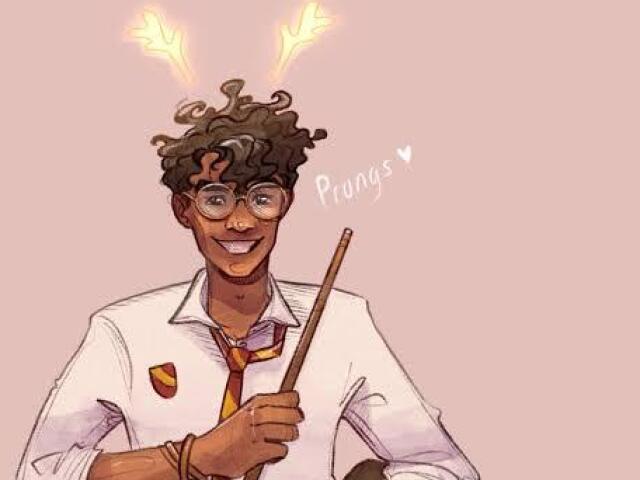 James Potter (a. k. a. Prongs)