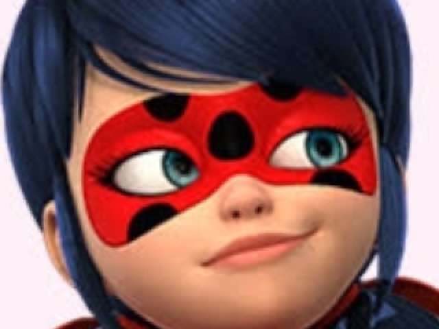 Ladybug