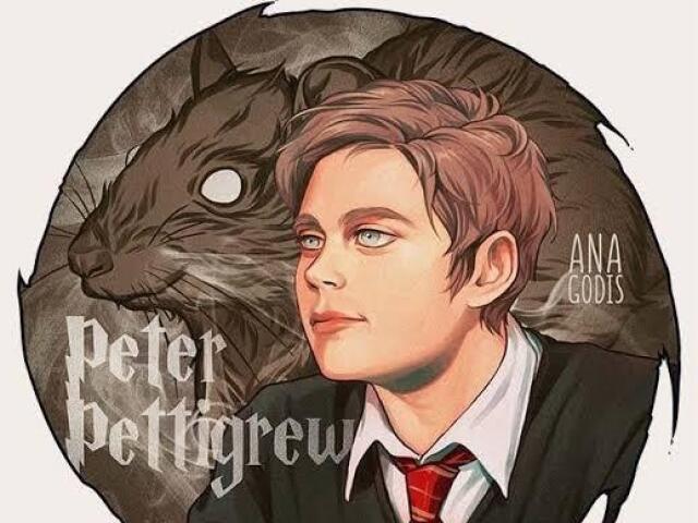 Peter Pettigrew (rato.)