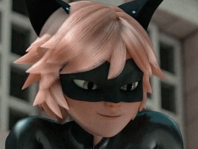 cat noir