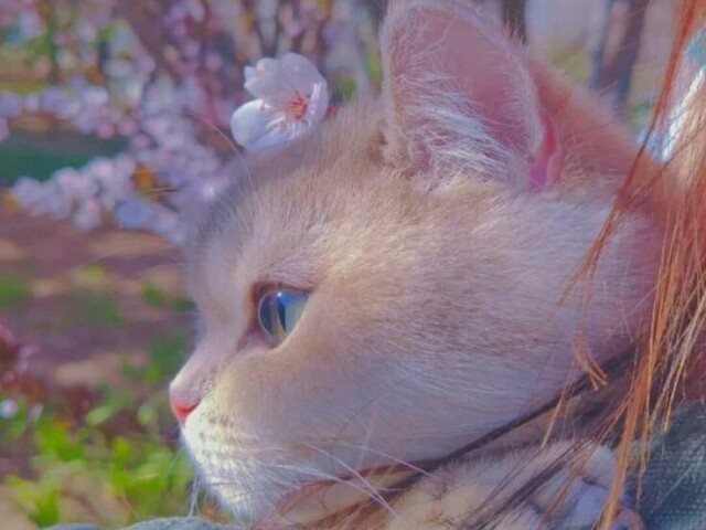 ๐ฎ๐๐๐๐,๐๐ฬ๐ ๐๐ ๐๐๐๐๐๐๐๐ ๐๐๐๐๐๐๐ ๐
๐ ๐๐๐๐
๐!