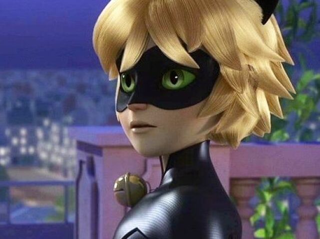 cat noir