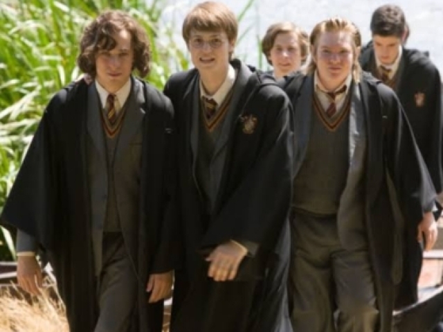 Os marotos (James Potter, Sirius Black, Remus Lupin e Pedro Pettigrew).