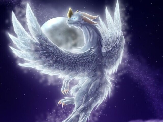 Dragão da luz