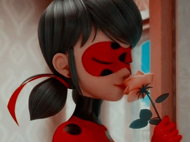 Ladybug