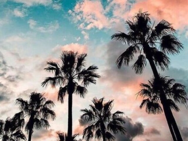 Tumblr 💗