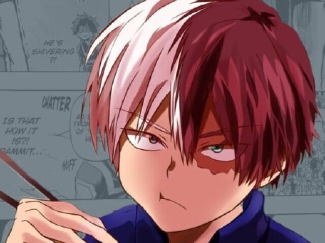 Shoto Todoroki