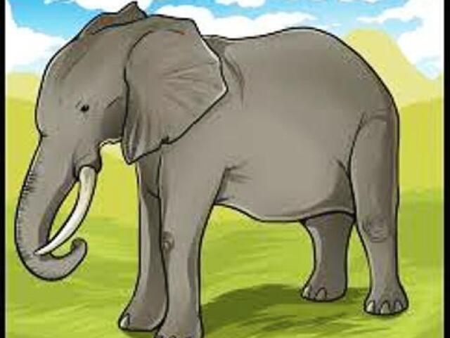 ELEFANTE