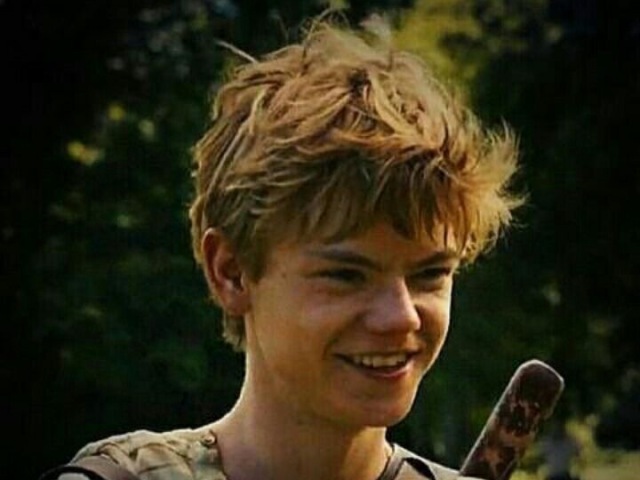 Newt