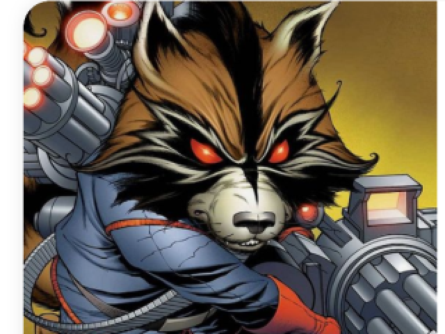 ROCKET RACCON