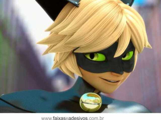 cat noir