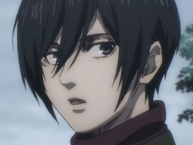 Mikasa Ackerman💕