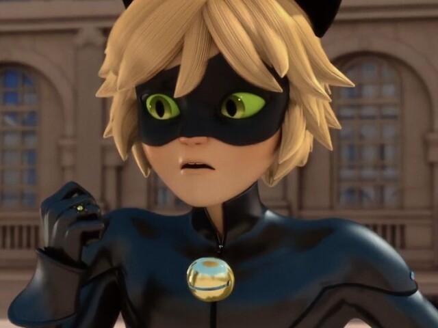 Cat noir