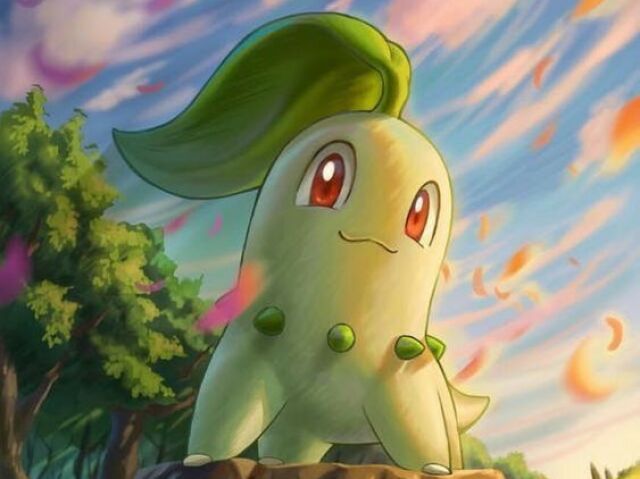 Chikorita