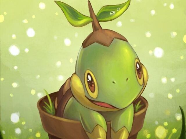 Turtwig