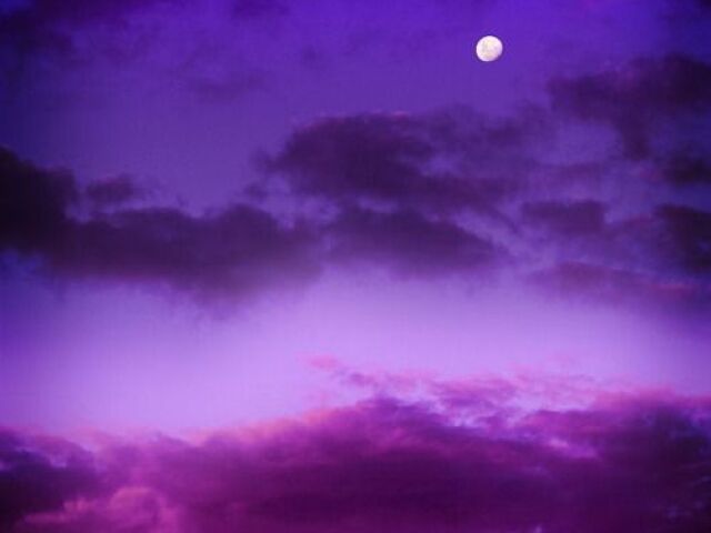 Roxo