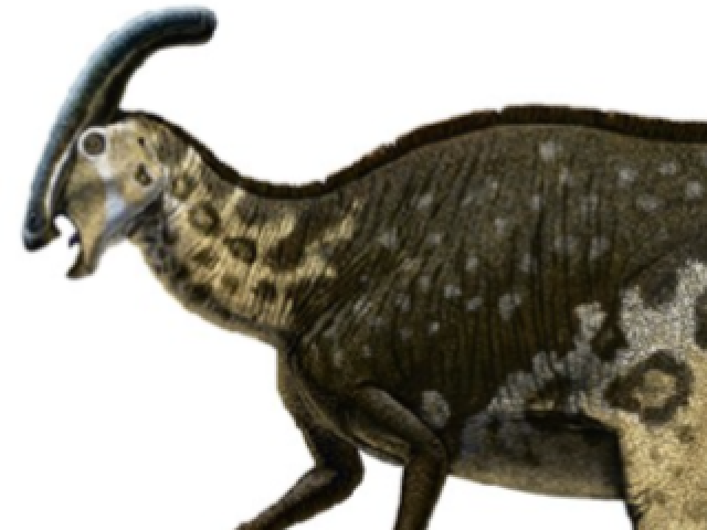 Charonosaurus