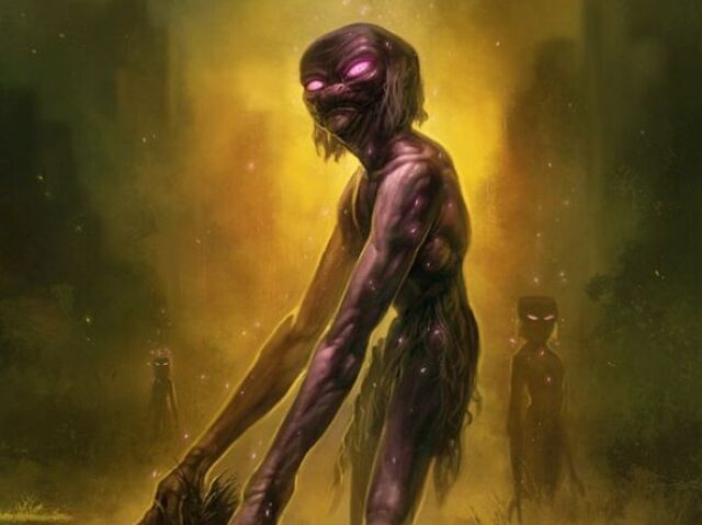 👁Enderman🌌