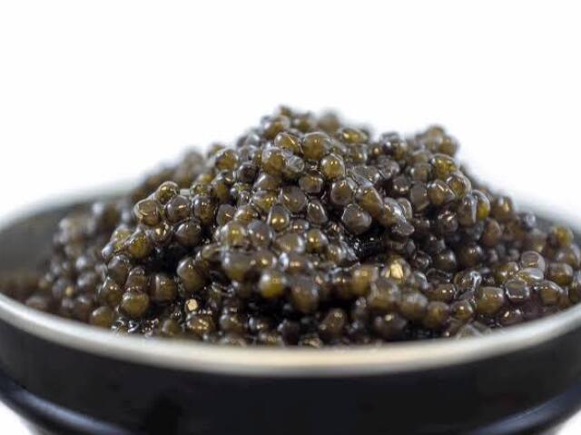 Caviar