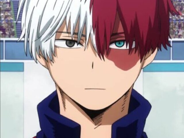 Shoto todoroki