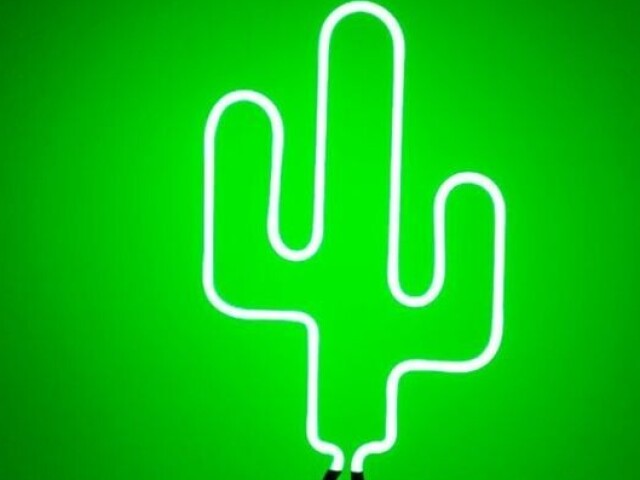Verde💚