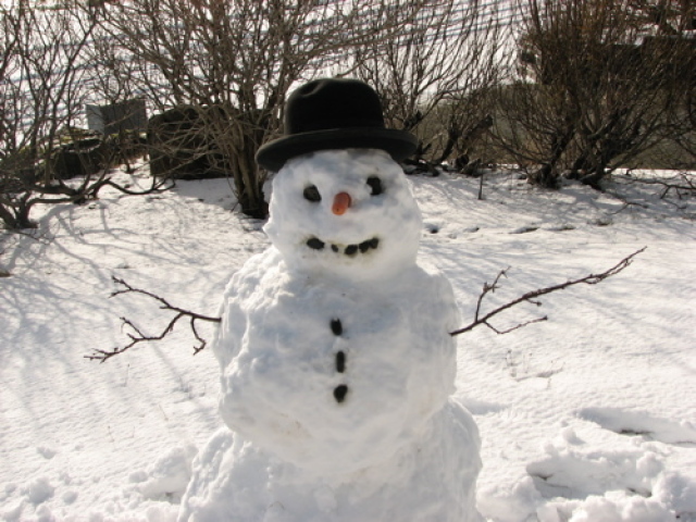 Um lugar que tenha neve. Sempre sonhei em fazer um boneco de neve ou guerra de neve