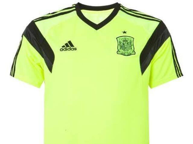 Espanha 2010 (goleiro)