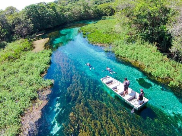 Viajaria o Brasil inteiro mesmo