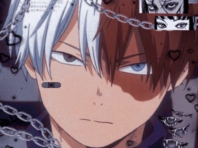 Shoto Todoroki♡💙