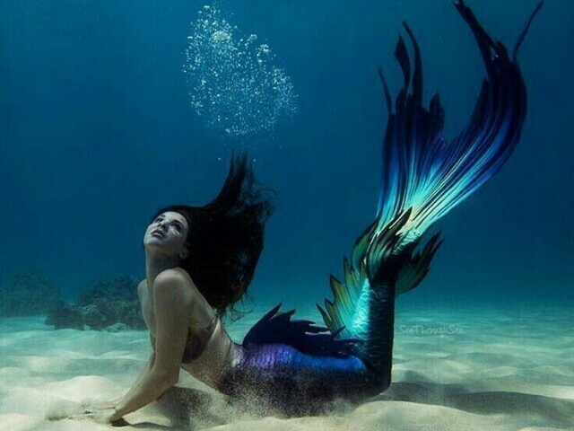 Sereia