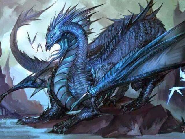 Qual seria seu Dragão?