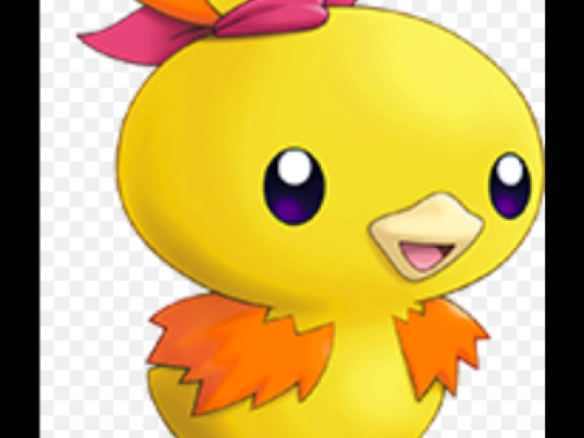 Torchic