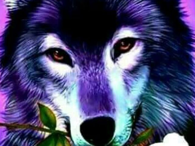 Uau você é um lobo caçador