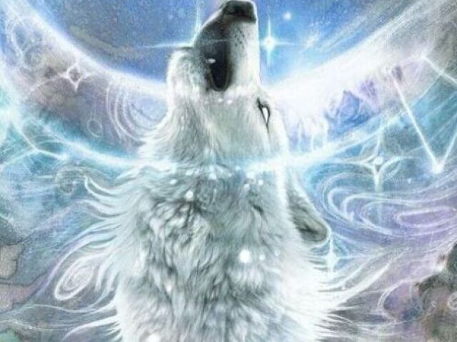 Lobo das luzes