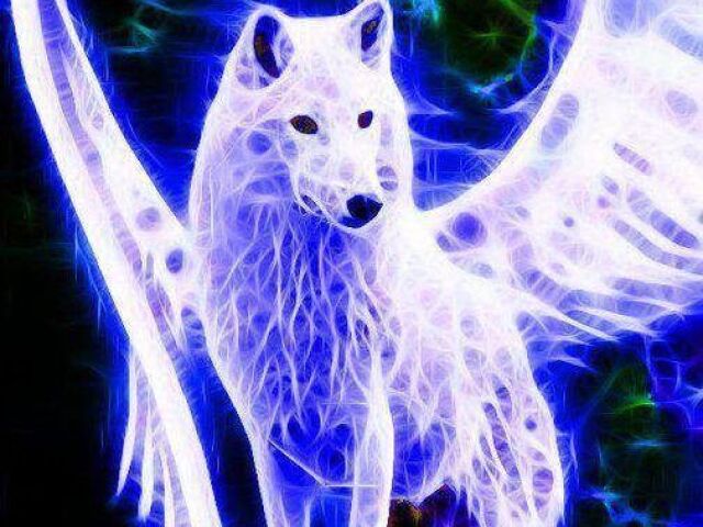 Lobos das estrelas